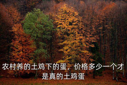 農村養的土雞下的蛋，價格多少一個才是真的土雞蛋