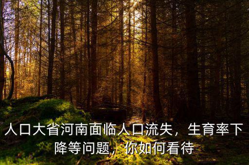 人口大省河南面臨人口流失，生育率下降等問題，你如何看待