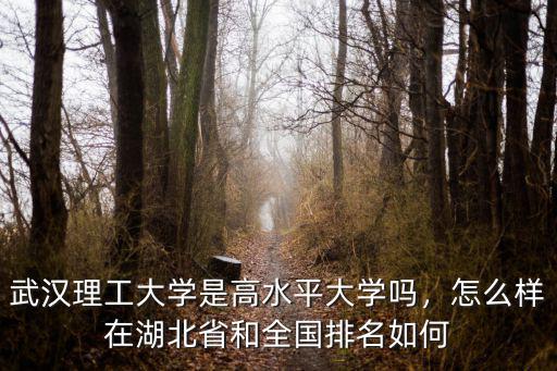 武漢理工大學是高水平大學嗎，怎么樣在湖北省和全國排名如何
