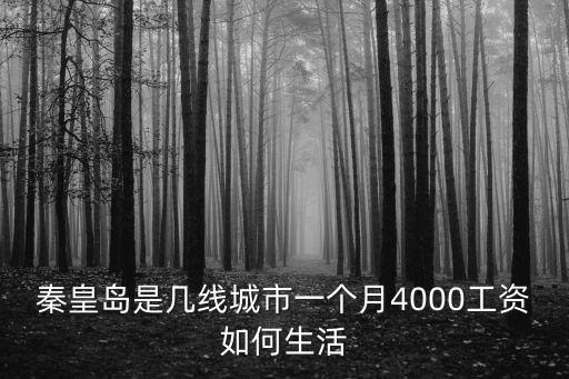 秦皇島退休工資平均是多少,秦皇島是幾線城市