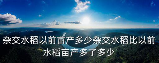 雜交水稻以前畝產(chǎn)多少雜交水稻比以前水稻畝產(chǎn)多了多少