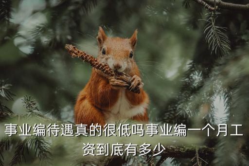 滄州市事業(yè)編待遇多少,事業(yè)編待遇真的很低嗎