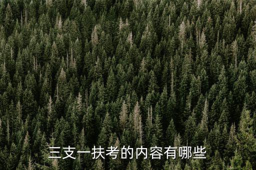 河北三支一扶筆試有多少道題,河北三支一扶考試題型是啥