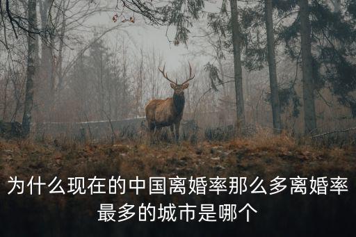 為什么現在的中國離婚率那么多離婚率最多的城市是哪個