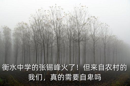 張錫峰在衡水中學(xué)的演講多少字,衡水中學(xué)的張錫峰火了