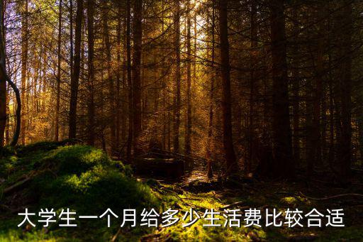 大學生一個月給多少生活費比較合適