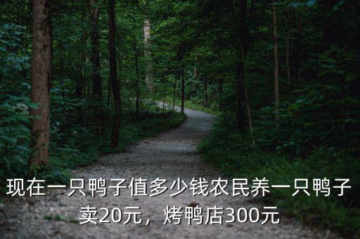 安慶太和鴨子多少錢一只,現在一只鴨子值多少錢