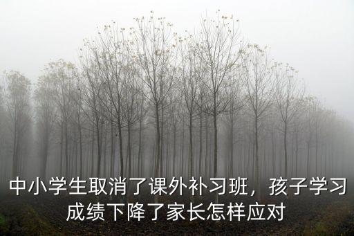 黃石課外補習怎么了,中小學生取消了課外補習班