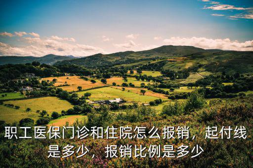 職工醫保門診和住院怎么報銷，起付線是多少，報銷比例是多少
