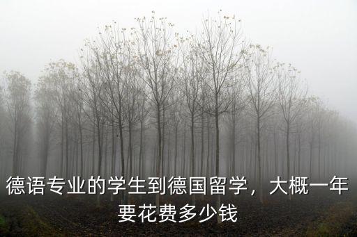 德語專業的學生到德國留學，大概一年要花費多少錢