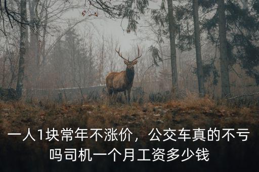 張家口公交車司機一個月多少錢,司機一個月工資多少錢