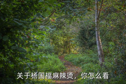 合肥有多少家楊國福麻辣燙,關于楊國福麻辣燙