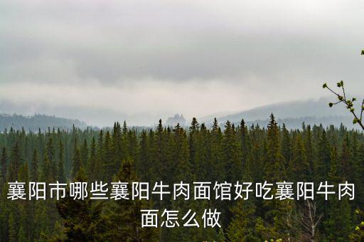 襄陽(yáng)牛肉面怎么帶,襄陽(yáng)牛肉面怎么做