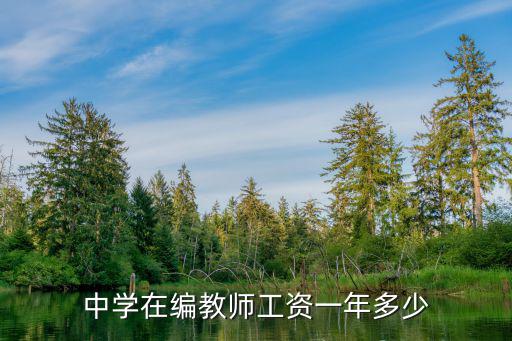 中學在編教師工資一年多少