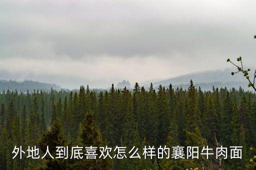 外地人到底喜歡怎么樣的襄陽牛肉面