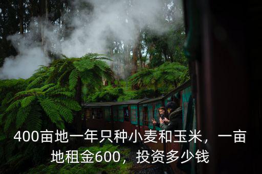 400畝地一年只種小麥和玉米，一畝地租金600，投資多少錢