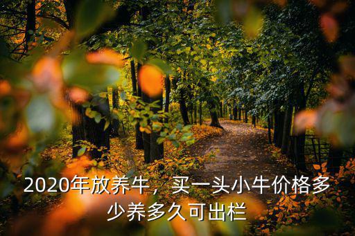安徽阜陽有牛養小牛多少錢一頭,九十年代一頭牛多少錢