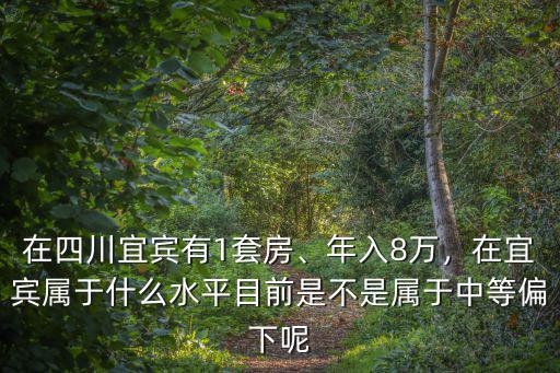 在四川宜賓有1套房、年入8萬，在宜賓屬于什么水平目前是不是屬于中等偏下呢