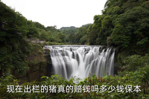 淮南出欄豬價格是多少錢,現在育肥豬成本價是多少錢