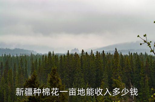 新疆種棉花一畝地能收入多少錢