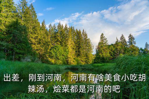 出差，剛到河南，河南有啥美食小吃胡辣湯，燴菜都是河南的吧