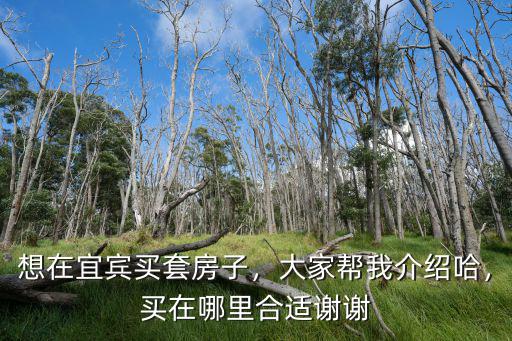想在宜賓買套房子，大家幫我介紹哈，買在哪里合適謝謝