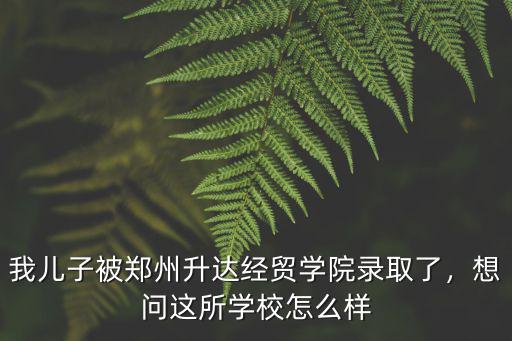 我兒子被鄭州升達經貿學院錄取了，想問這所學校怎么樣