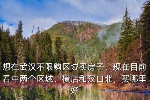 想在武漢不限購區域買房子，現在目前看中兩個區域，橫店和漢口北，買哪里好