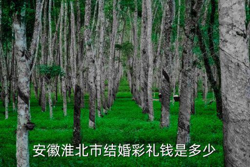 安徽淮北市結婚彩禮錢是多少