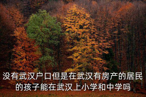 沒有武漢戶口但是在武漢有房產的居民的孩子能在武漢上小學和中學嗎