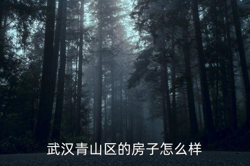 武漢青山區的房子怎么樣