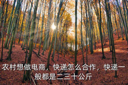 農村想做電商，快遞怎么合作，快遞一般都是二三十公斤
