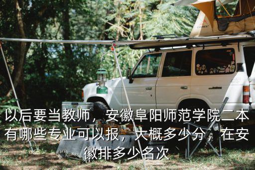 以后要當教師，安徽阜陽師范學院二本有哪些專業(yè)可以報，大概多少分，在安徽排多少名次