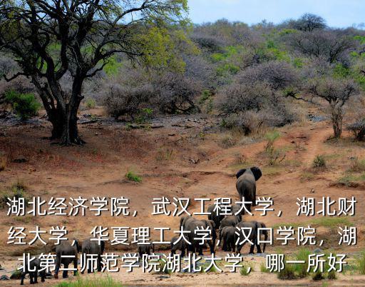 湖北二師學費怎么交,湖北第二師范學院湖北大學