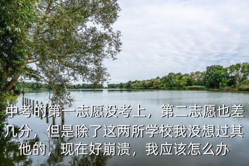 中考的第一志愿沒考上，第二志愿也差幾分，但是除了這兩所學校我沒想過其他的，現在好崩潰，我應該怎么辦