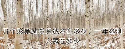 張家口開彩票店需要投資多少錢,開個彩票店大概要多少錢