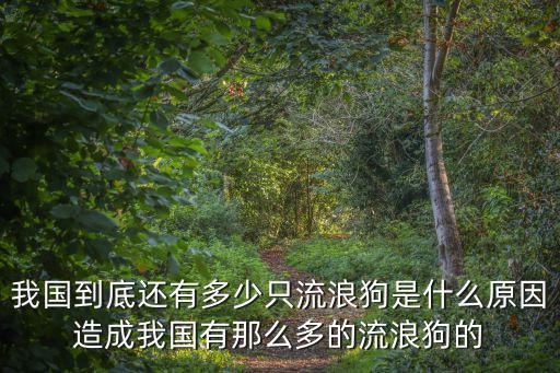 淮南市有多少流浪狗,中國有多少流浪狗