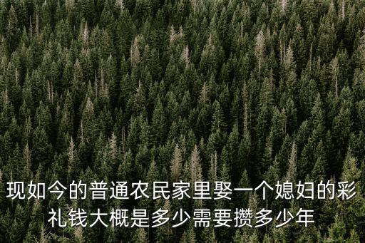石家莊西楊陵娶個媳婦多少錢,石家莊井陘彩禮多少錢