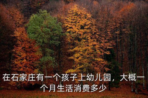在石家莊有一個孩子上幼兒園，大概一個月生活消費多少