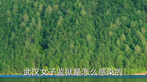 武漢返京女子怎么出的武漢,武漢女子監(jiān)獄是怎么感染的
