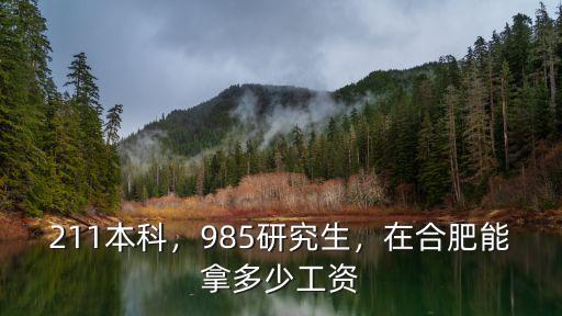 211本科，985研究生，在合肥能拿多少工資