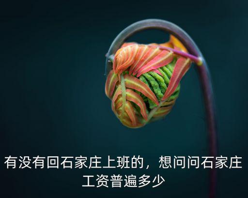 石家莊工作工資最低標(biāo)準(zhǔn)多少,想問問石家莊工資普遍多少