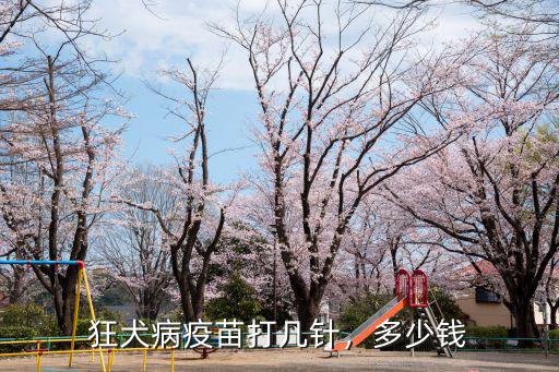 河北衡水打狂犬疫苗多少錢一針,狂犬病疫苗打一針要500