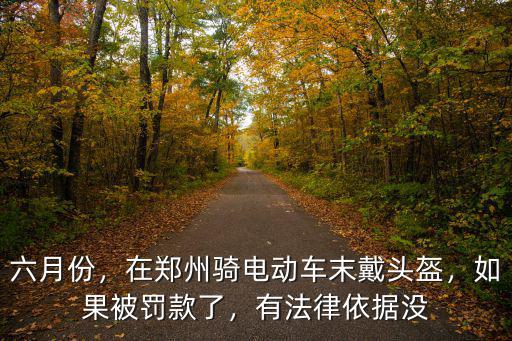 六月份，在鄭州騎電動車末戴頭盔，如果被罰款了，有法律依據(jù)沒
