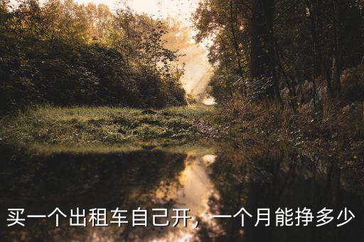 買一個出租車自己開，一個月能掙多少