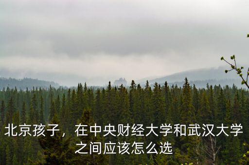 武漢大學怎么不異地建校,武漢大學深圳校區被終止