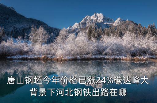 唐山鋼坯今年價格已漲24%碳達峰大背景下河北鋼鐵出路在哪