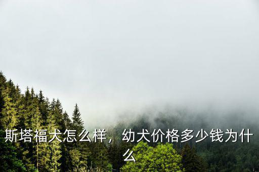 阜陽比特犬多少錢一只幼犬,幼犬價格多少錢