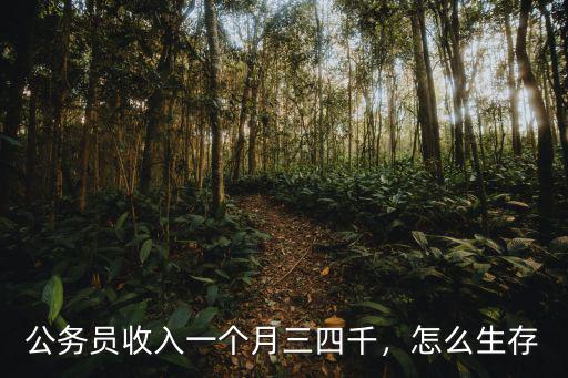 六安公務員一個月多少工資多少錢一個月,公務員收入一個月三四千