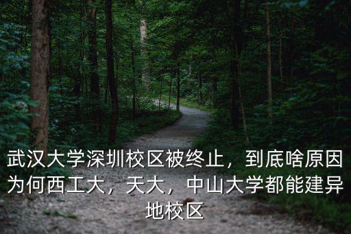 武漢大學深圳校區被終止，到底啥原因為何西工大，天大，中山大學都能建異地校區